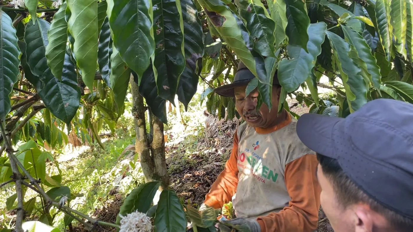 NUSARA farmer sourcing — grower in the coffee-growing environment